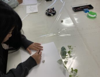 アートクラブ子どものちから