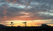 小学生の頃から、子ども用のカメラを持って撮影していたレイコサン。フム、写真もいっぱい！と書いたものの、Facebook船本礼子への入れ方が分からない…。写真入りで投稿していますが、教えられた操作以外は出来ないレイコサン。少々お待ちください。少しづつ成長？する予定です。