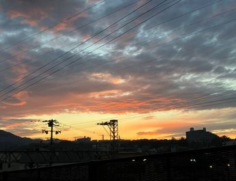 小学生の頃から、子ども用のカメラを持って撮影していたレイコサン。フム、写真もいっぱい！と書いたものの、Facebook船本礼子への入れ方が分からない…。写真入りで投稿していますが、教えられた操作以外は出来ないレイコサン。少々お待ちください。少しづつ成長？する予定です。