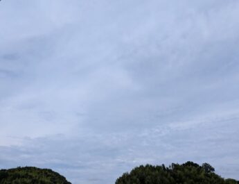 薬で生かされている？
