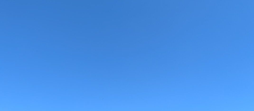 夏休みお絵描き教室