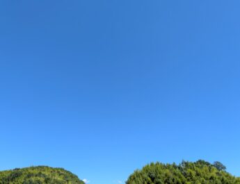 夏休みお絵描き教室